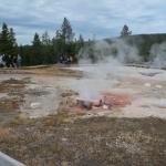 OTRA2013_1201 (July 15, 2013)